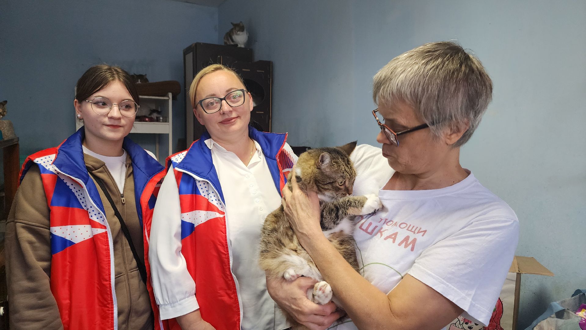 Котобус, Кошки, Кошачий приют, Протвино, Волонтеры,