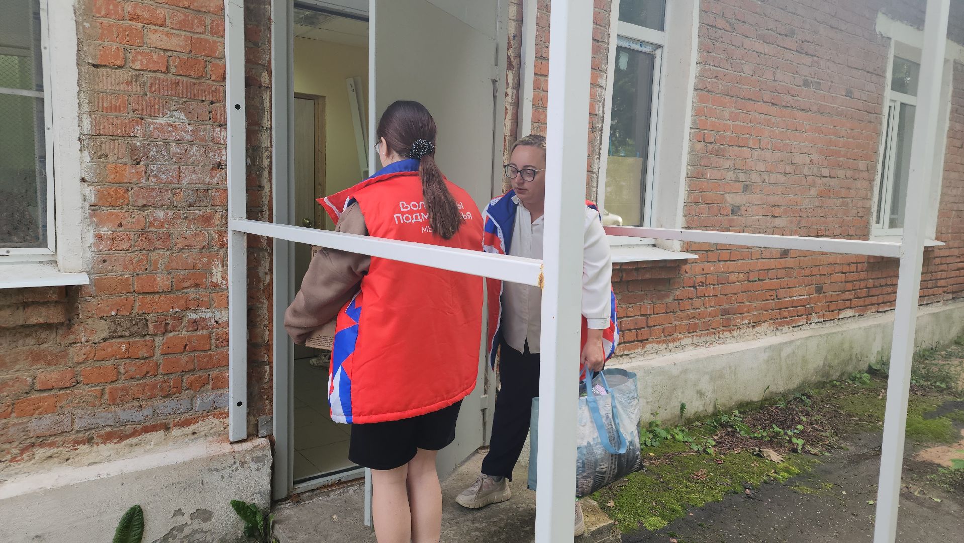 Котобус, Кошки, Кошачий приют, Протвино, Волонтеры,