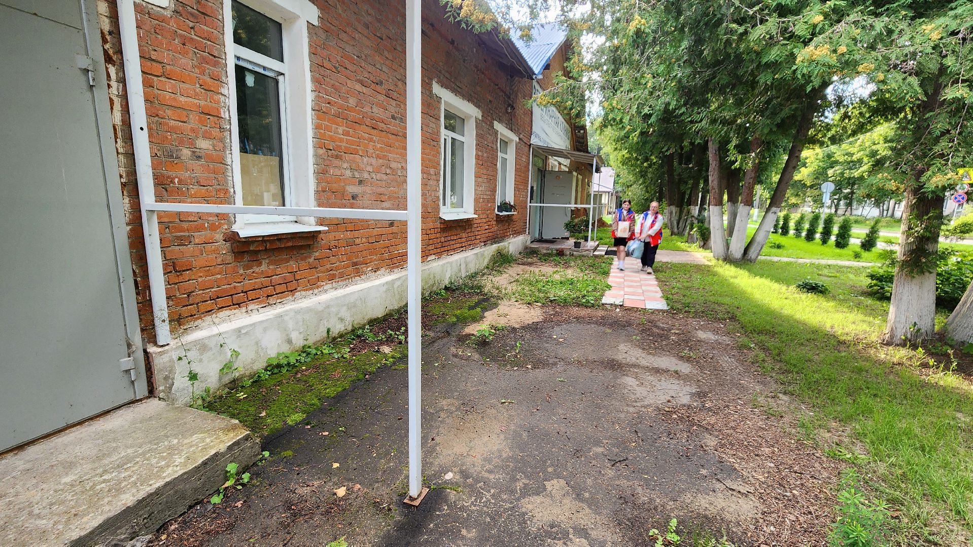 Котобус, Кошки, Кошачий приют, Протвино, Волонтеры,