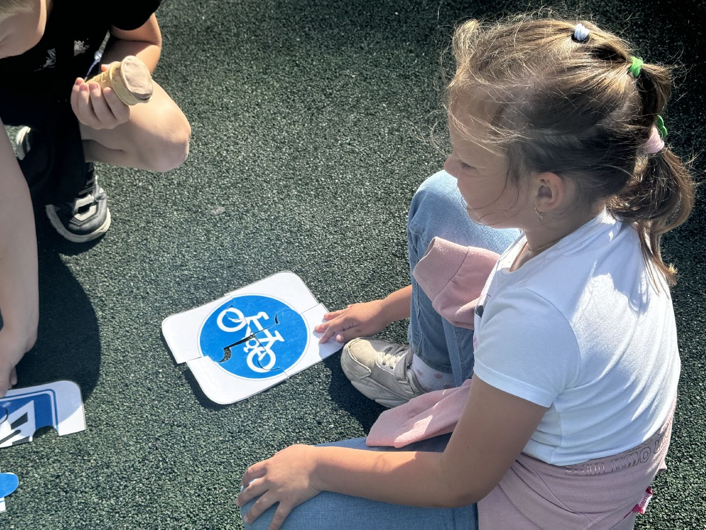 шаховская, госавтоинспекторы, игровая программа,