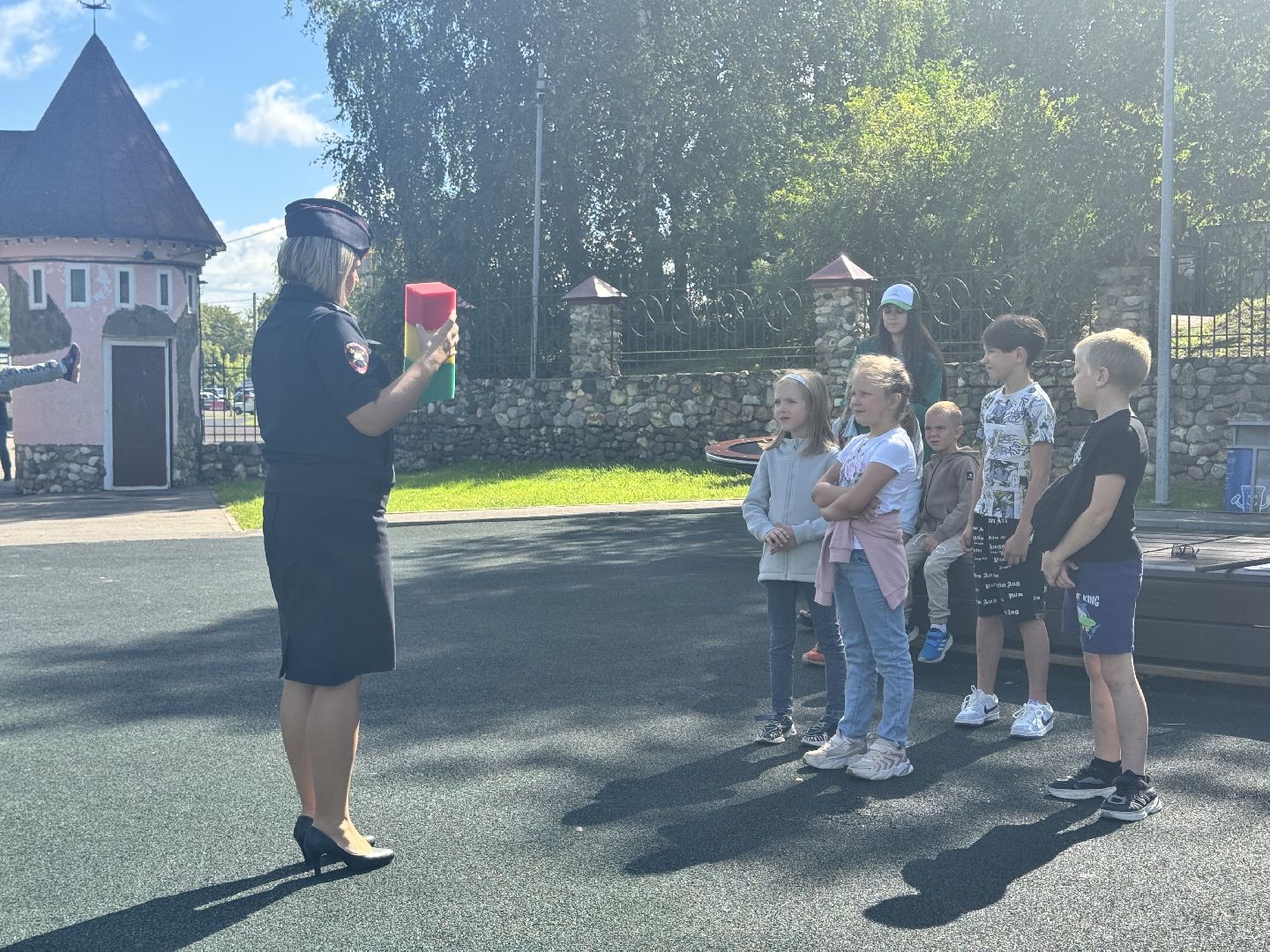 шаховская, госавтоинспекторы, игровая программа,