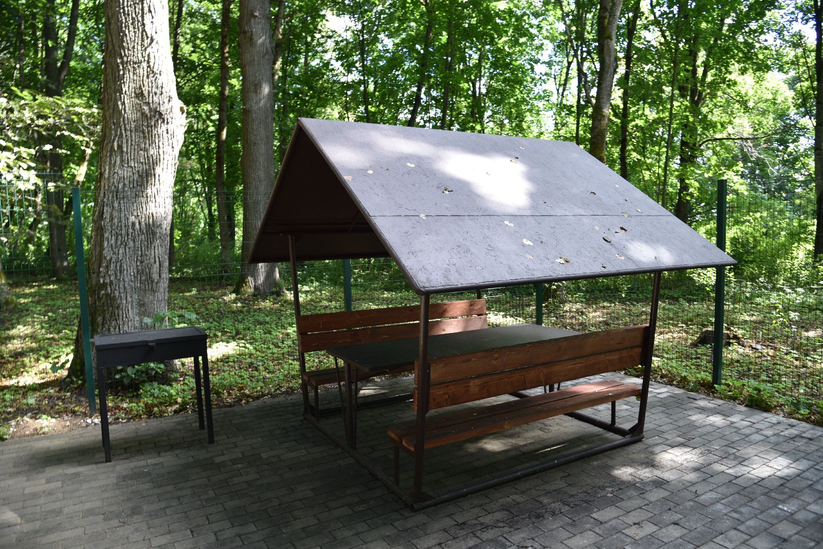 лотошино, лотошинский парк, парки подмосковья, зона для пикника,