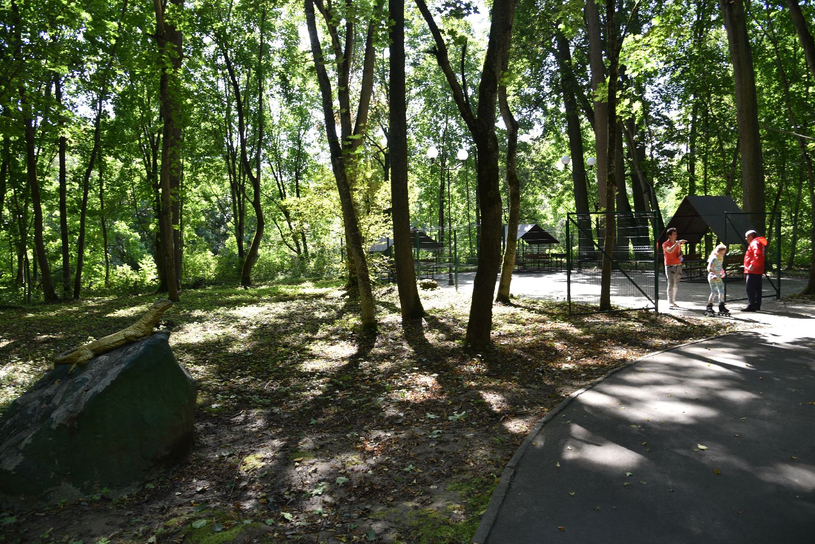 лотошино, лотошинский парк, парки подмосковья, зона для пикника,