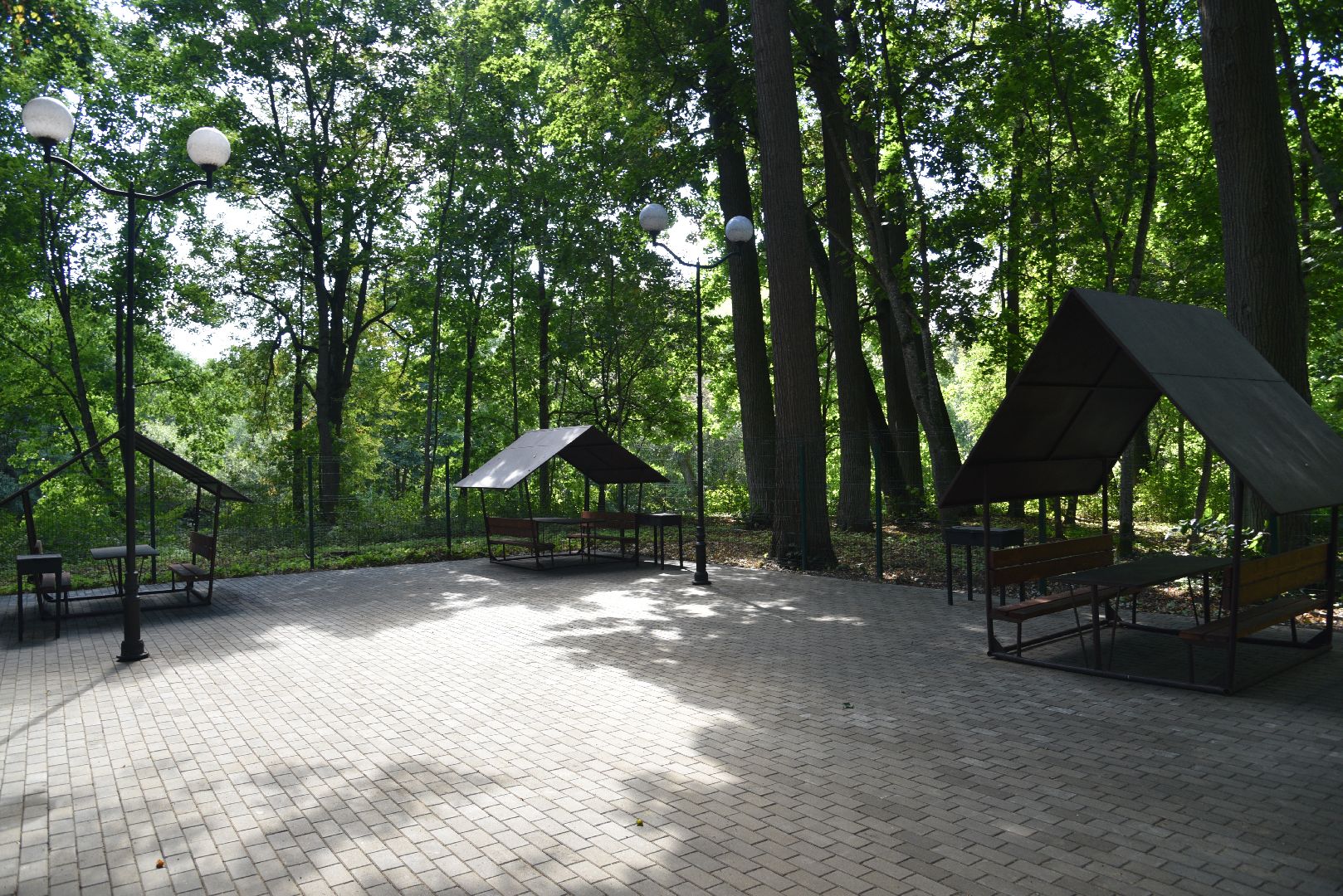 лотошино, лотошинский парк, парки подмосковья, зона для пикника,