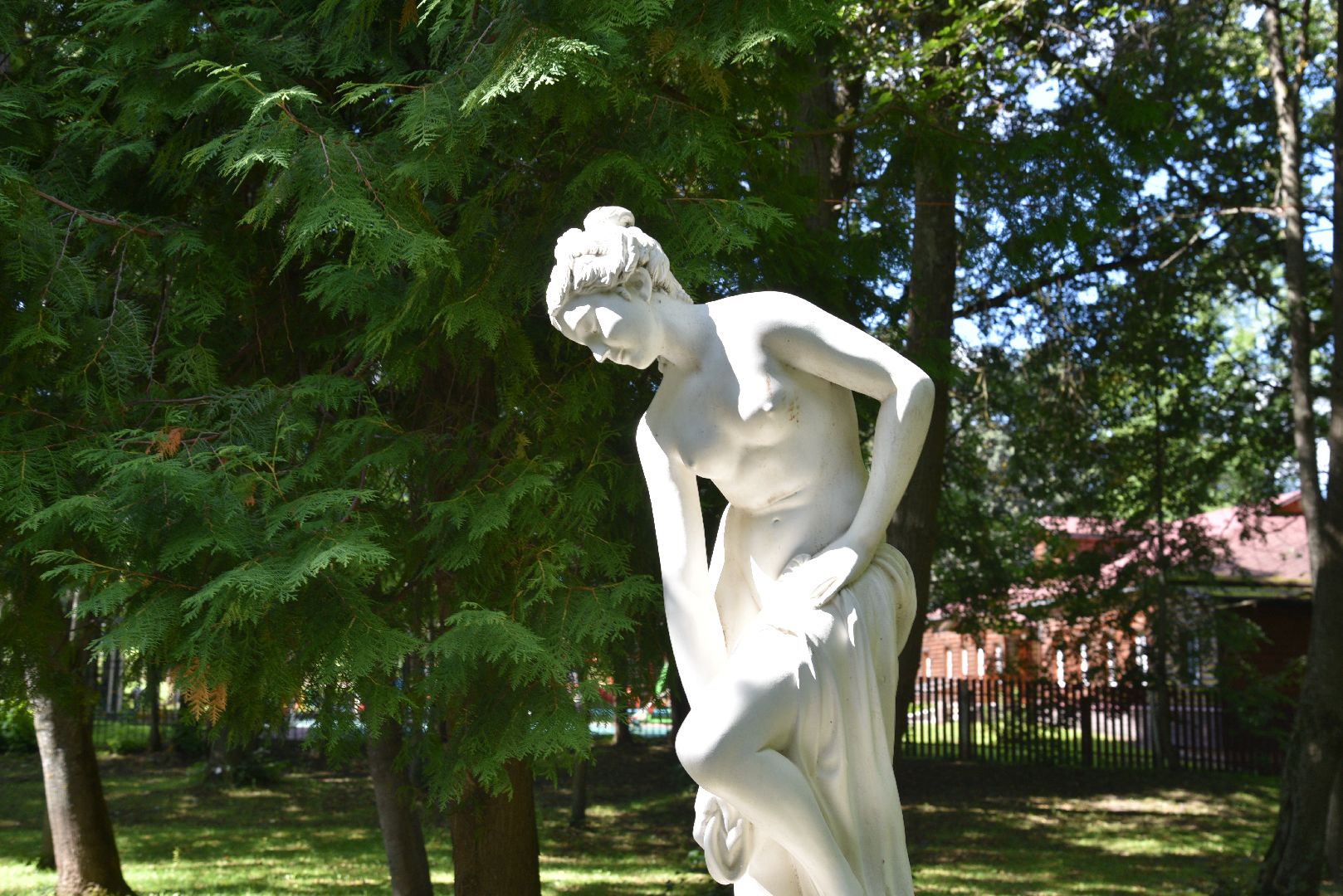 лотошино, лотошинский парк, парки подмосковья, зона для пикника,