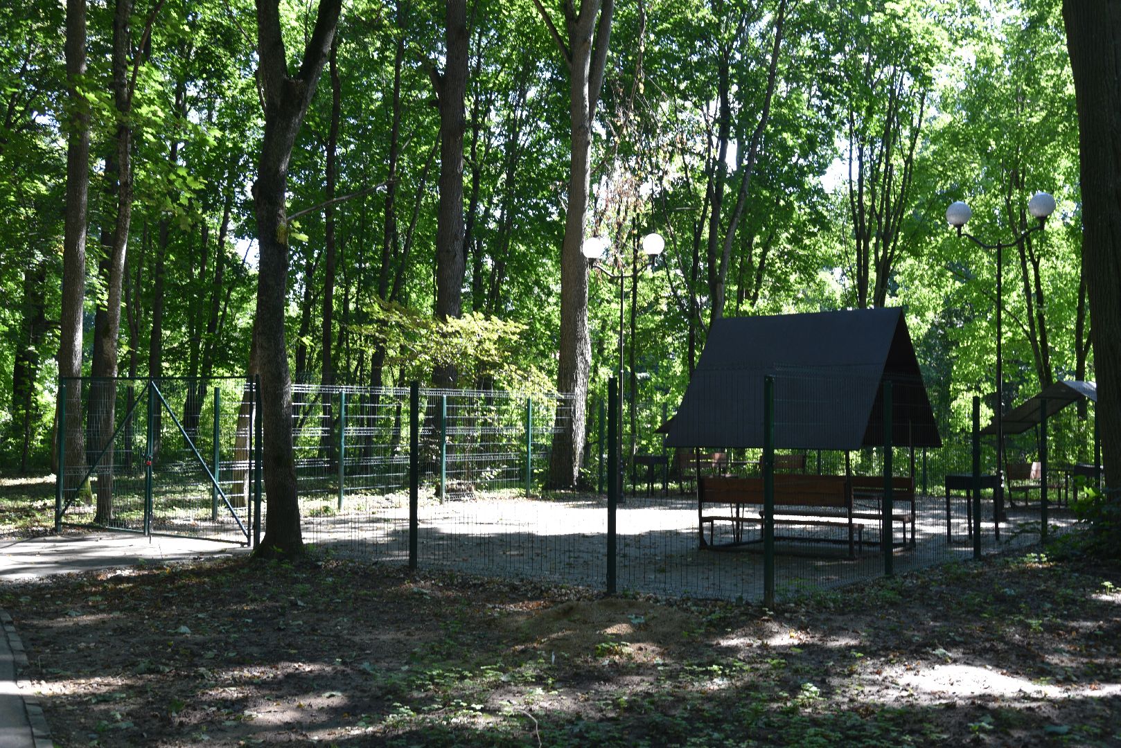 лотошино, лотошинский парк, парки подмосковья, зона для пикника,