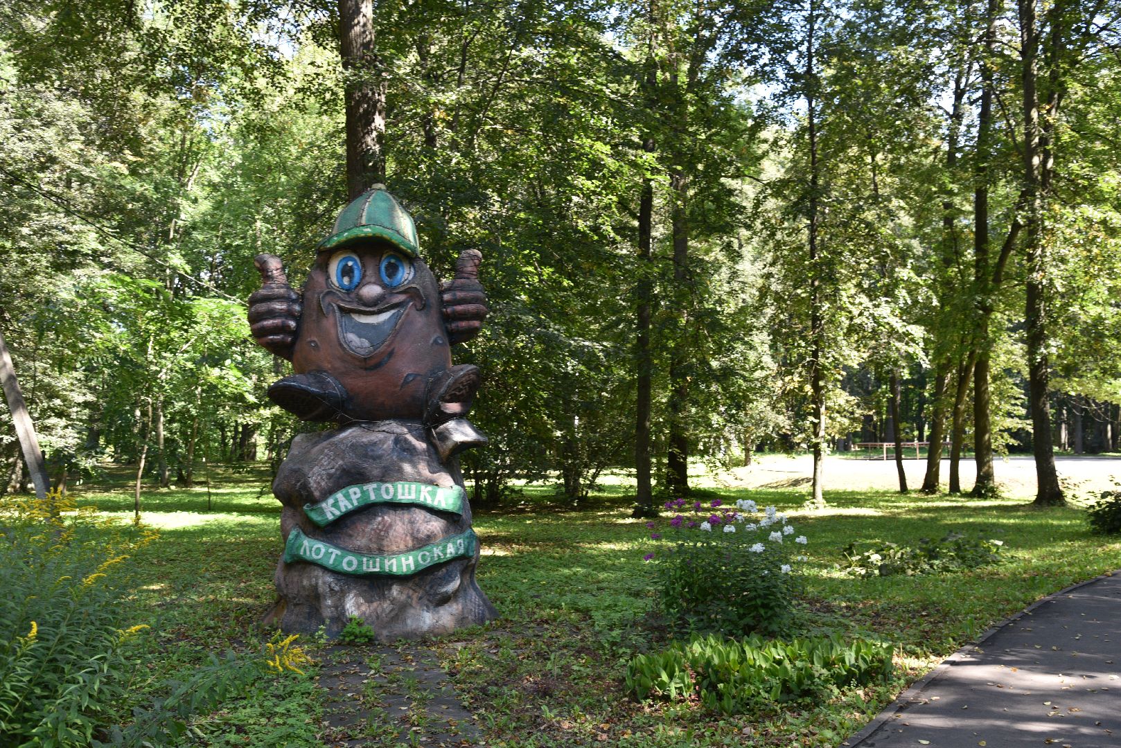 лотошино, лотошинский парк, парки подмосковья, зона для пикника,