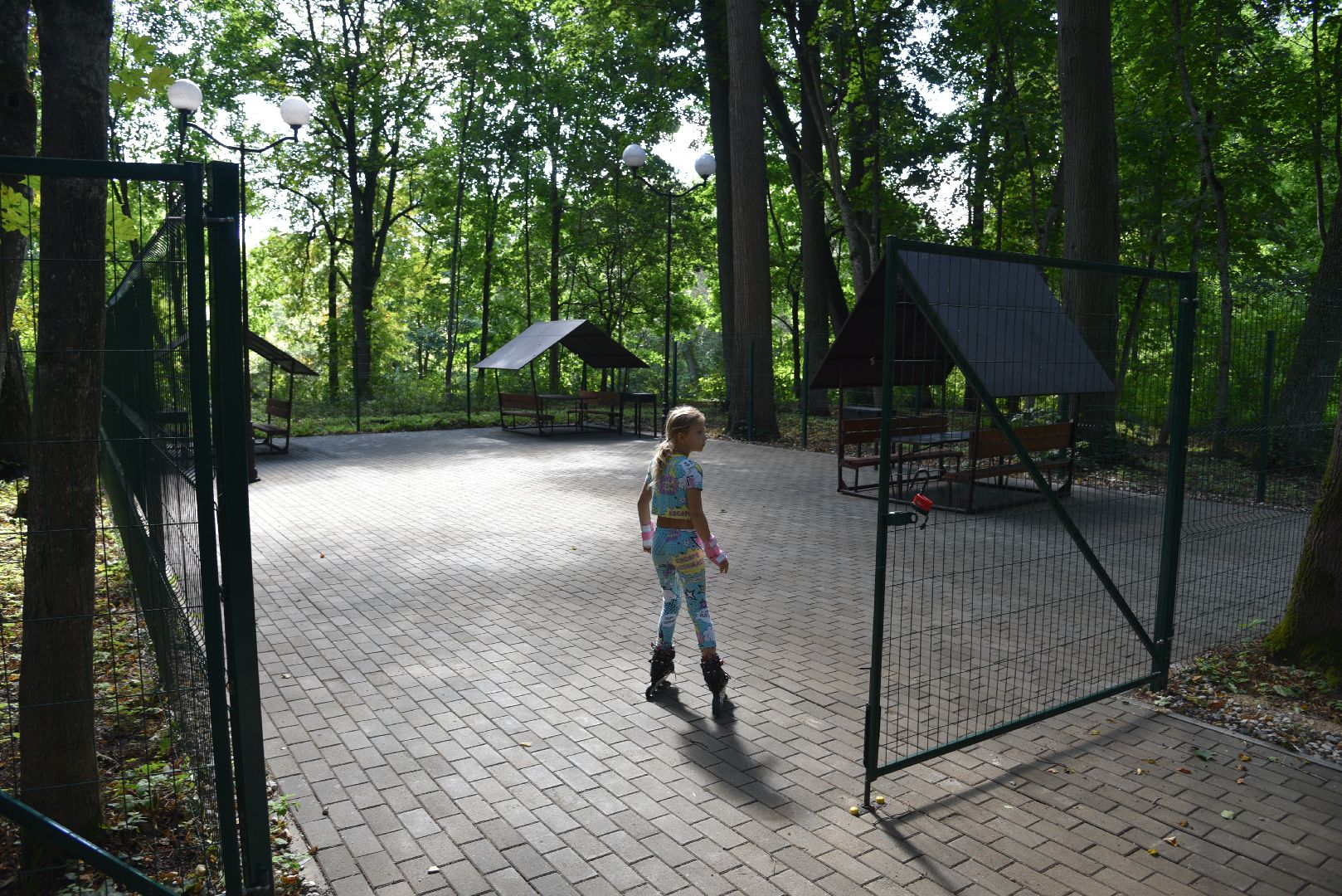 лотошино, лотошинский парк, парки подмосковья, зона для пикника,