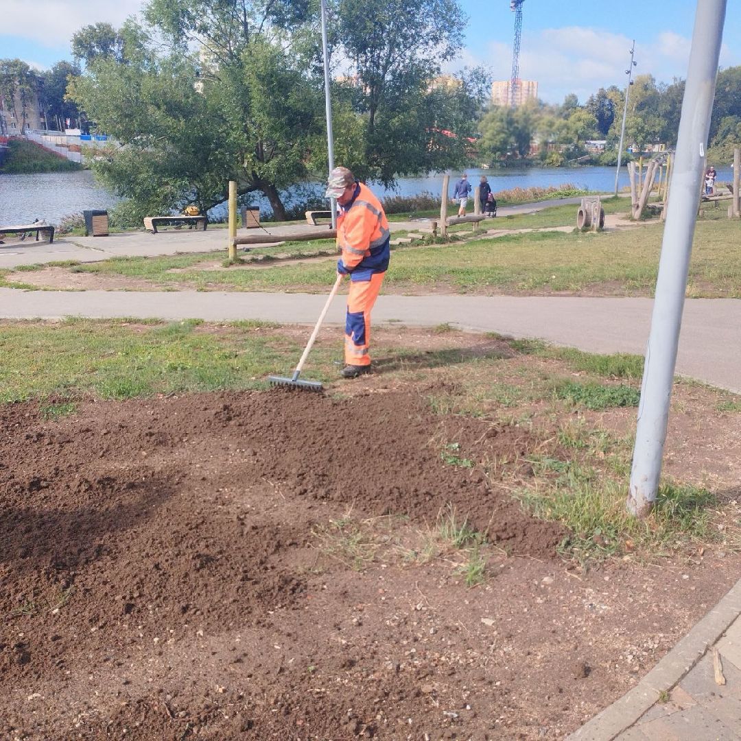 пушкино, газон, благоустройство, река,