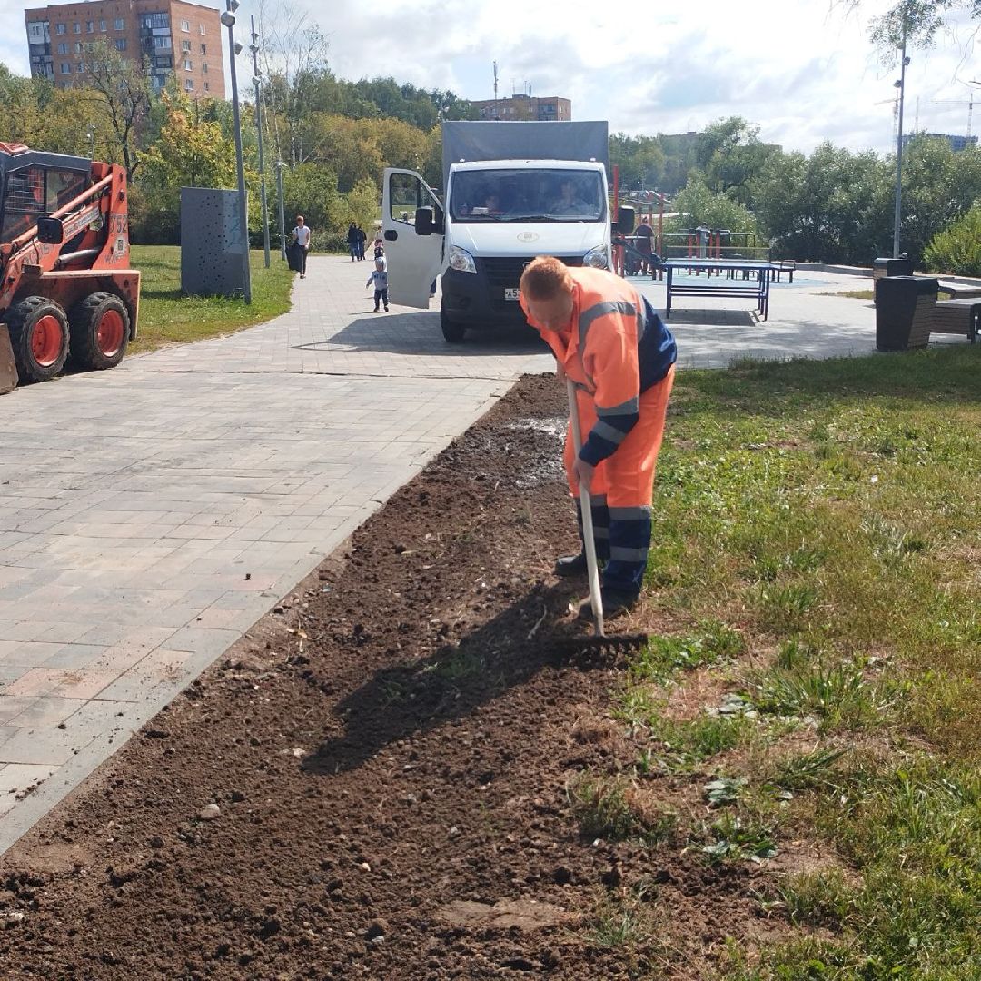 пушкино, газон, благоустройство, река,