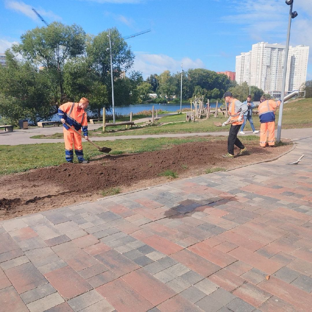 пушкино, газон, благоустройство, река,