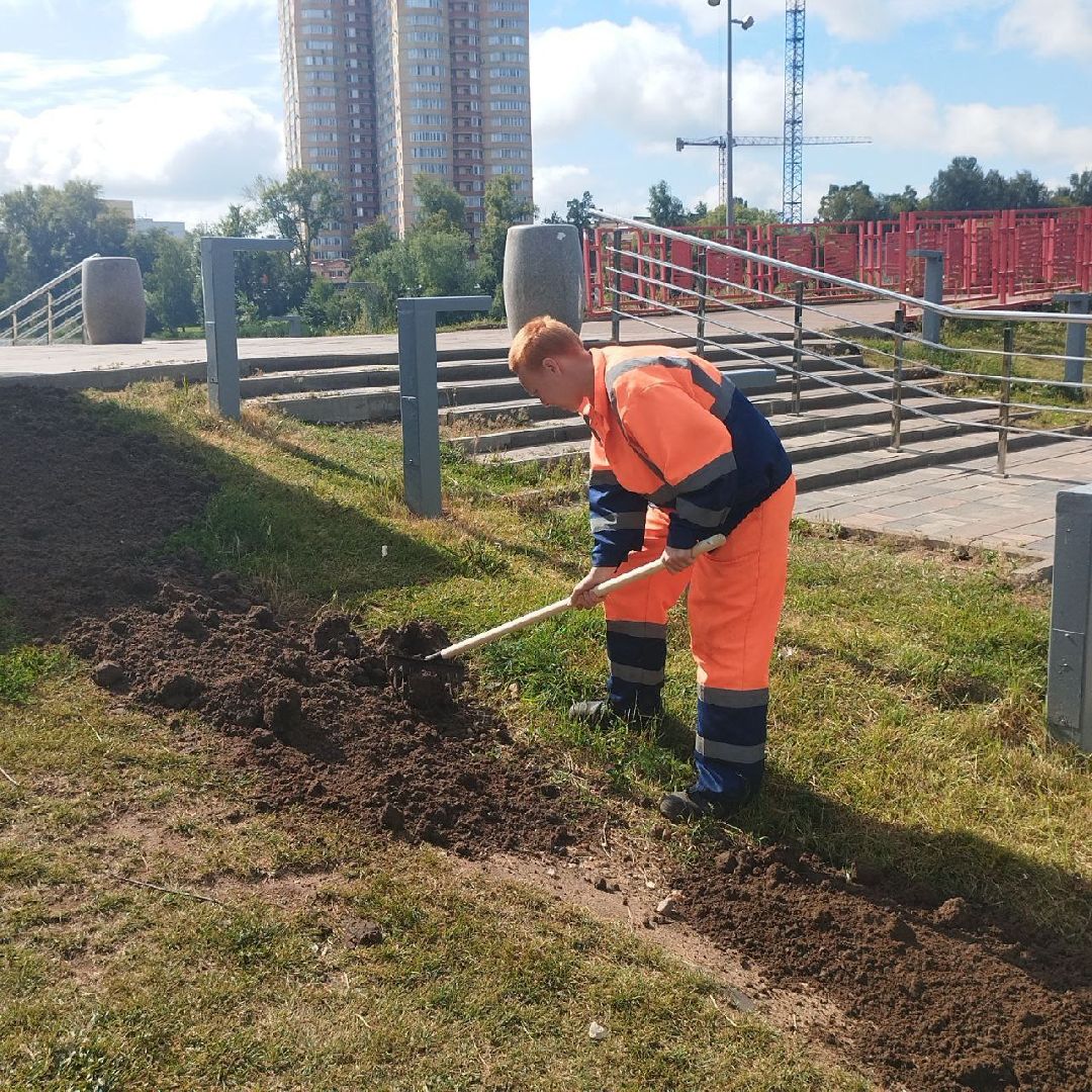 пушкино, газон, благоустройство, река,