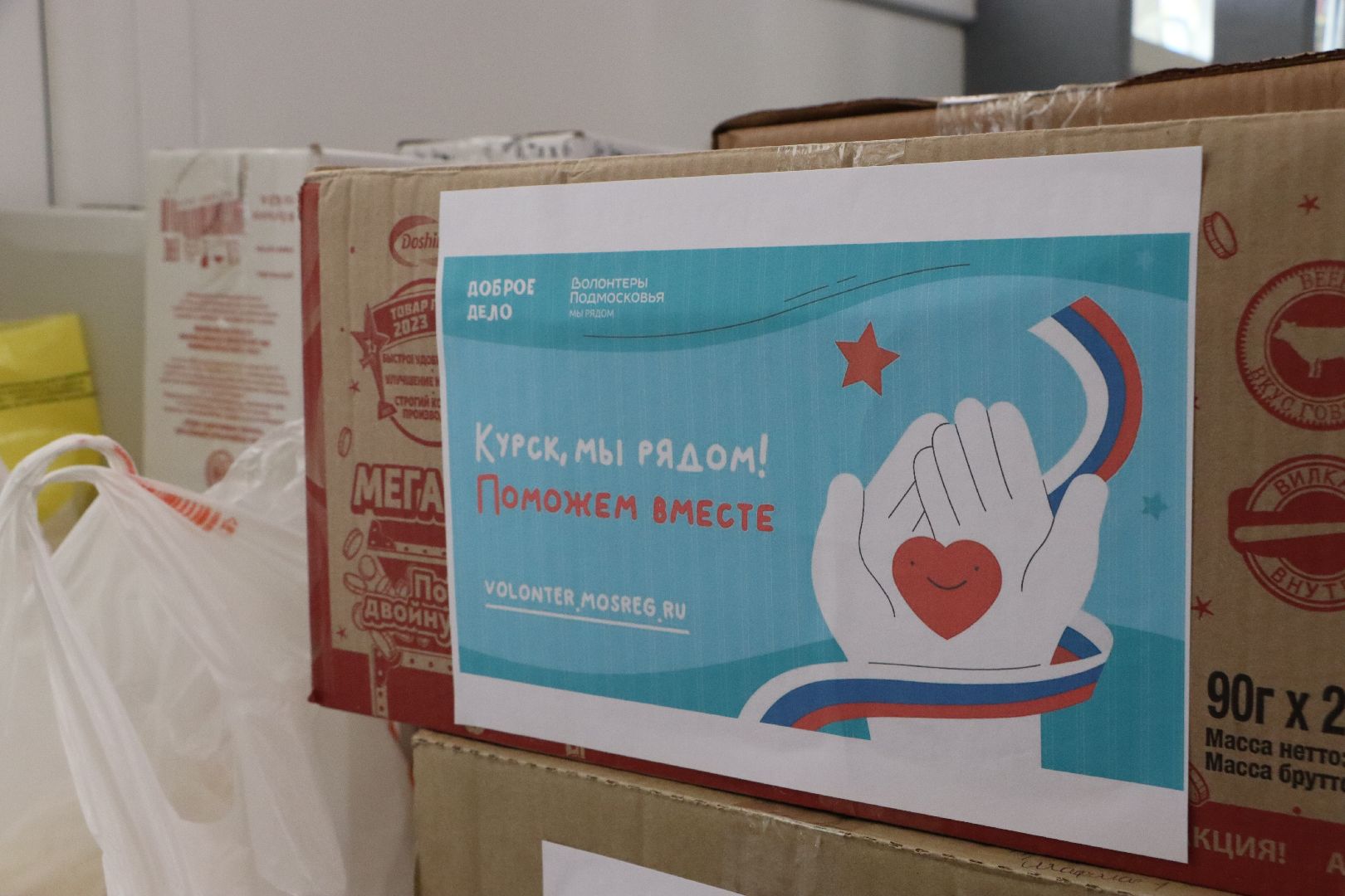 Серебряные Пруды, Волонтеры Подмосковья,