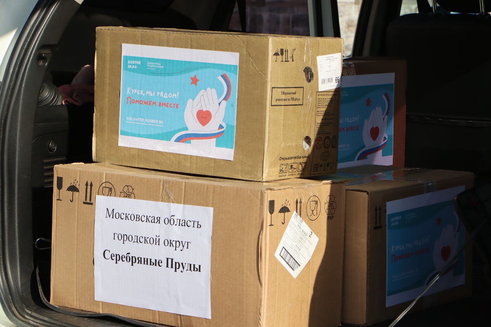 Серебряные Пруды, Волонтеры Подмосковья,