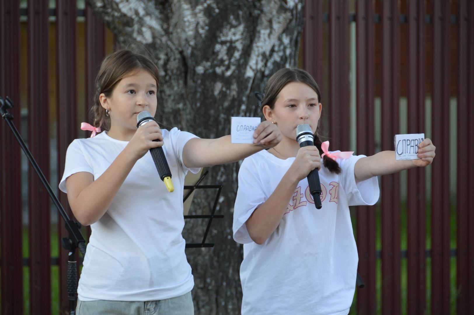 шатура, дуреевская, престольный праздник медовый спас,