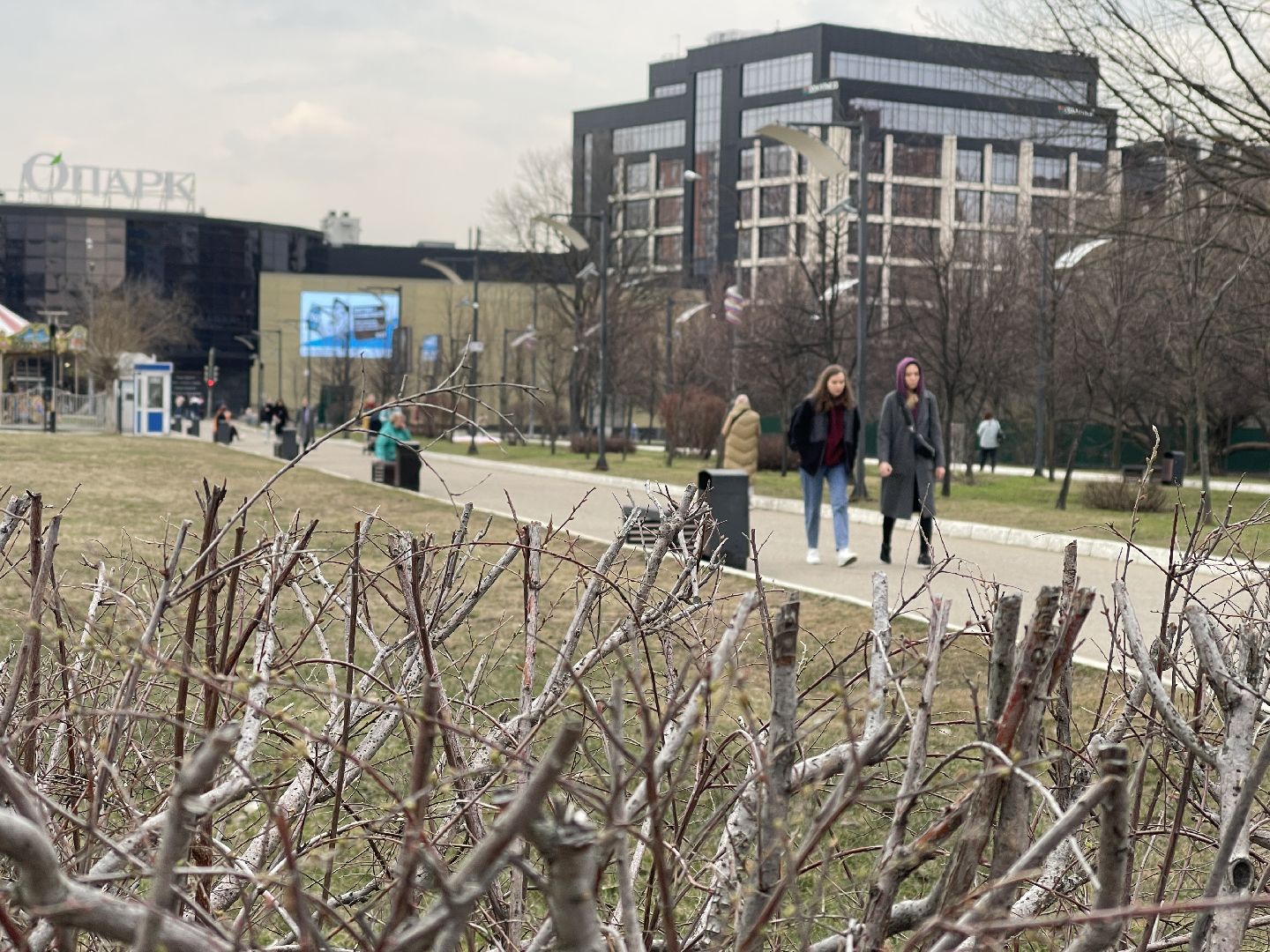 Одинцово, площадь, собаки, выгул, конкурс, обсуждение, минстрой,