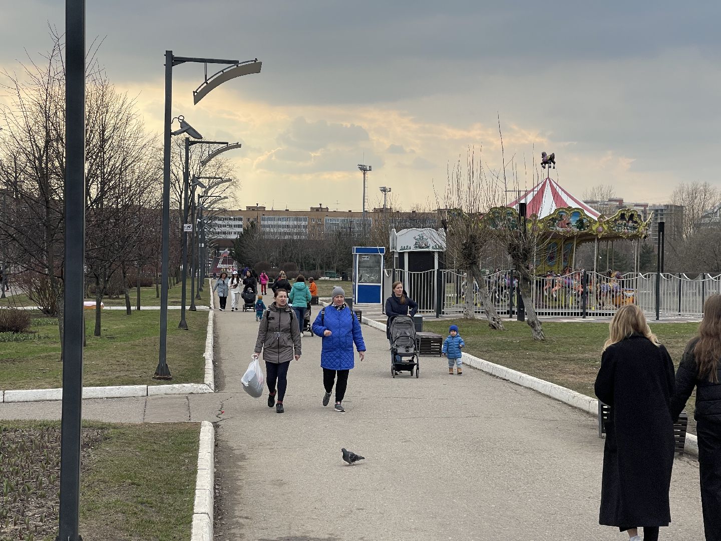 Одинцово, площадь, собаки, выгул, конкурс, обсуждение, минстрой,