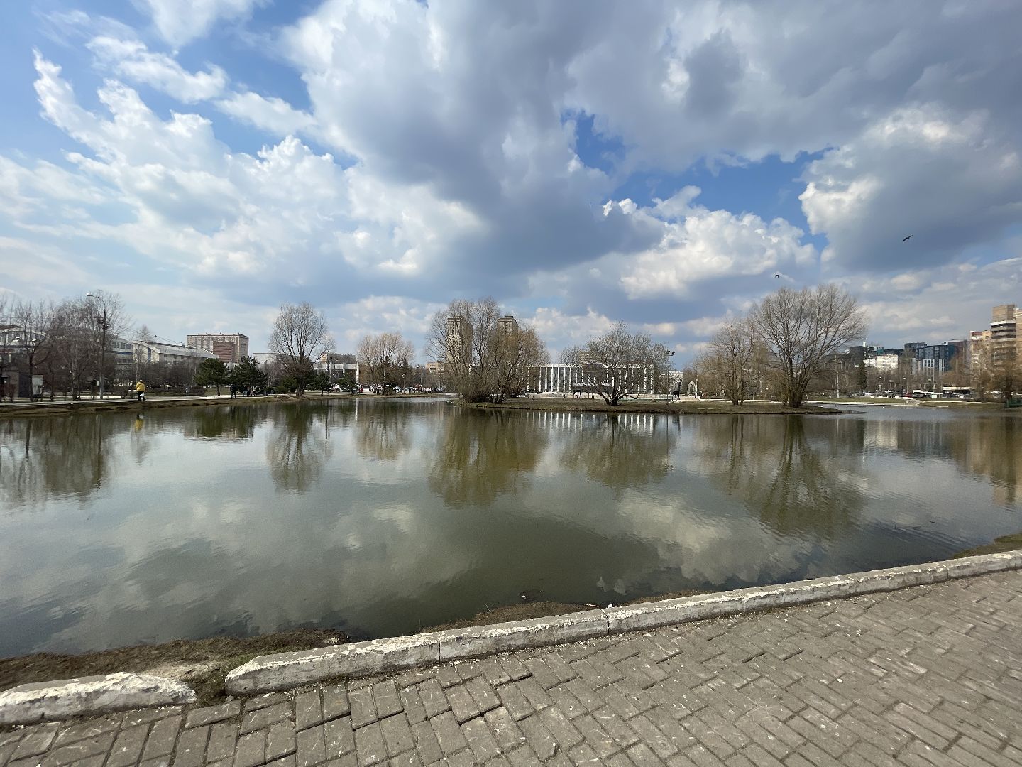 Одинцово, площадь, собаки, выгул, конкурс, обсуждение, минстрой,