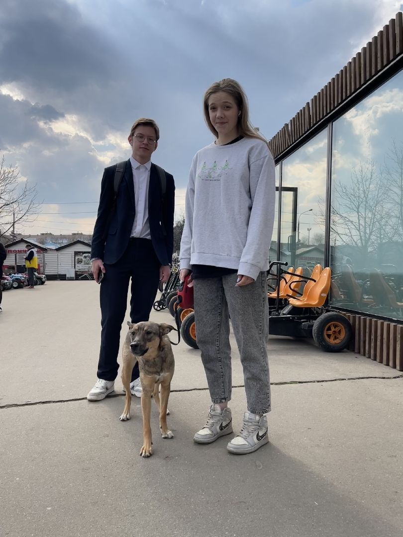 Одинцово, площадь, собаки, выгул, конкурс, обсуждение, минстрой,