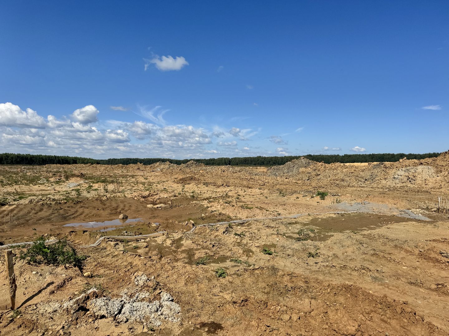 шаховская, ферма, скот, строителтство,