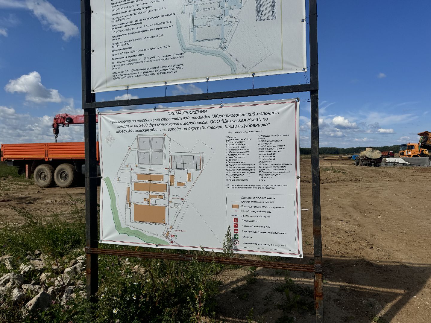 шаховская, ферма, скот, строителтство,