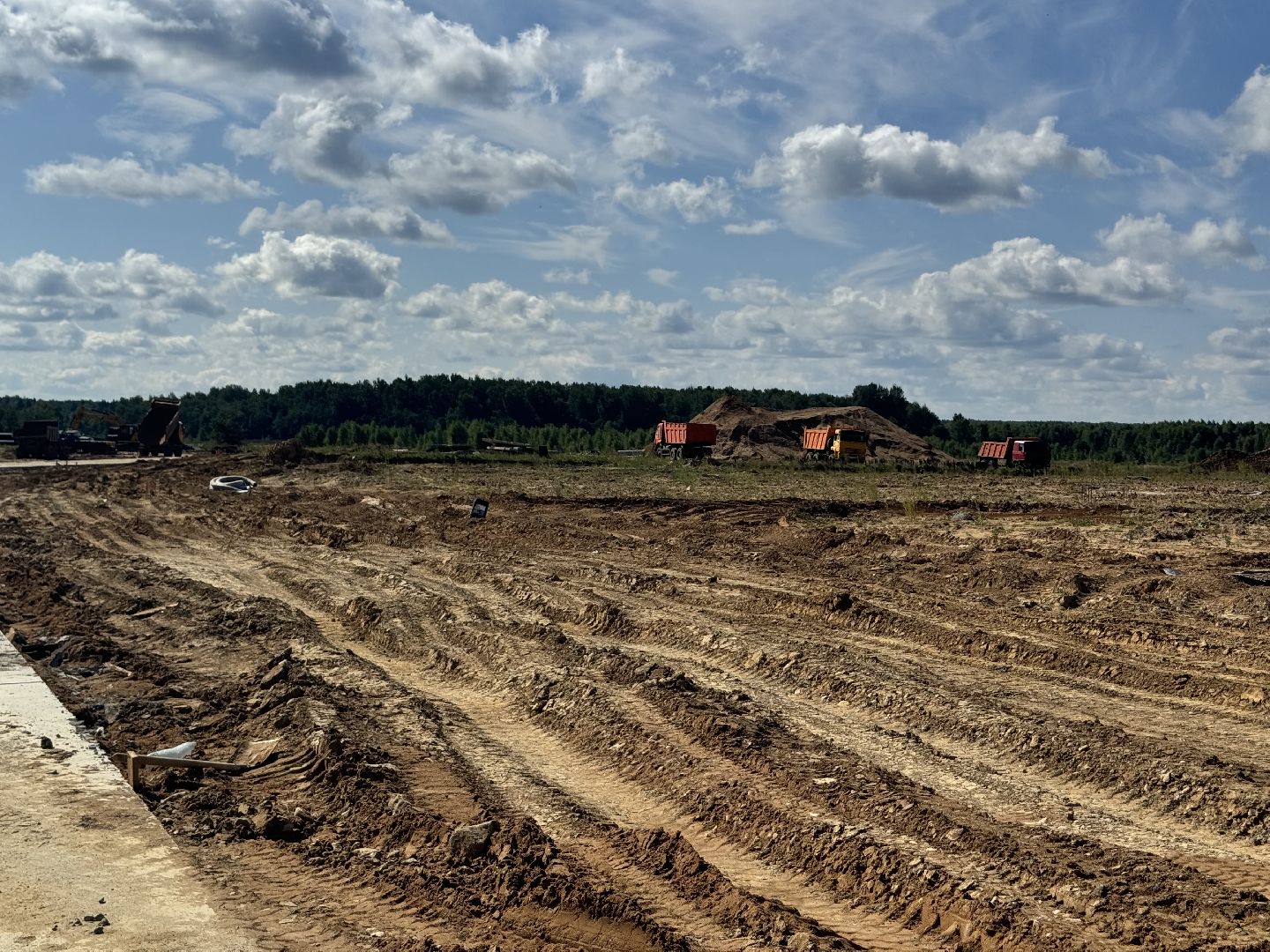 шаховская, ферма, скот, строителтство,