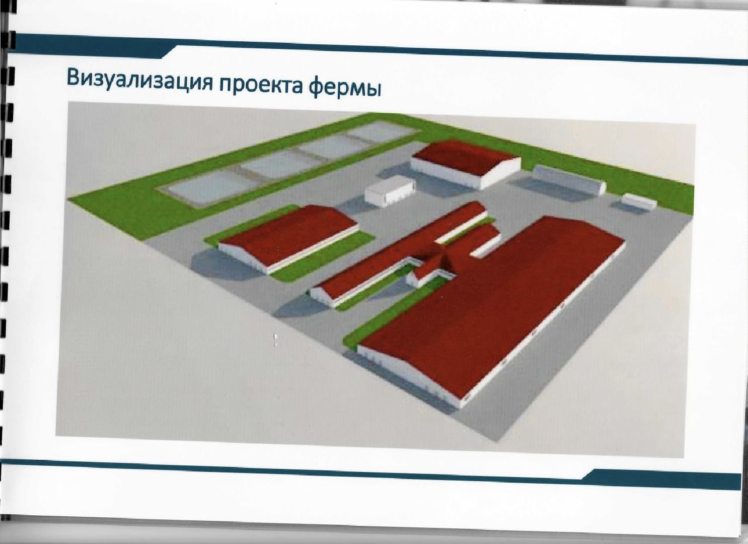 шаховская, ферма, скот, строителтство,