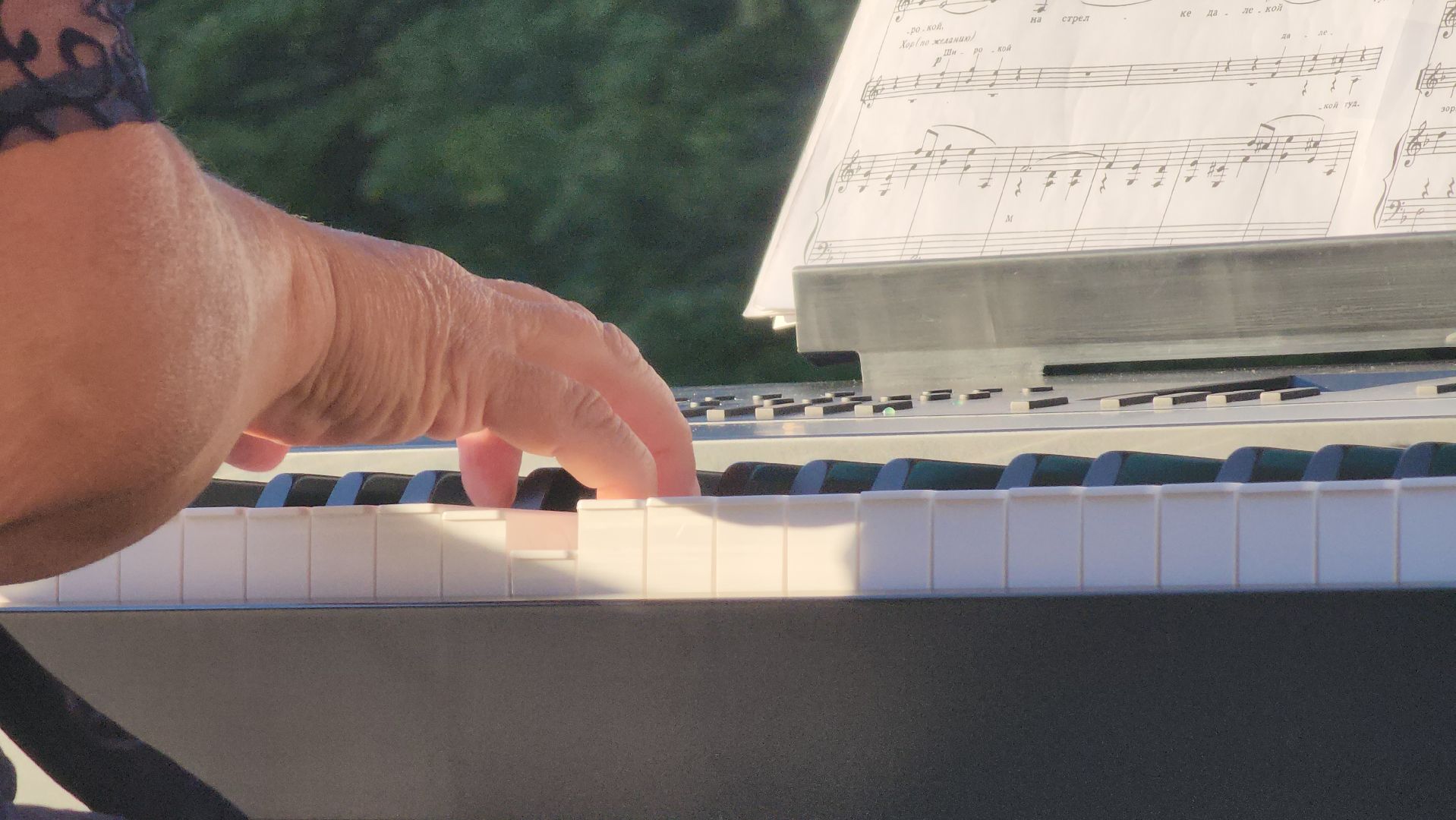 ступино, лето в подмосковье, Концерты в парках,