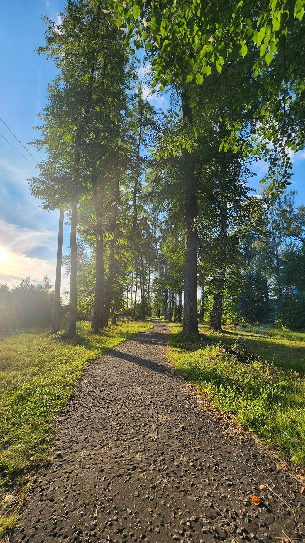 мишеронский, обход главы, обход территории, Большая Шатура, Благоустройство,