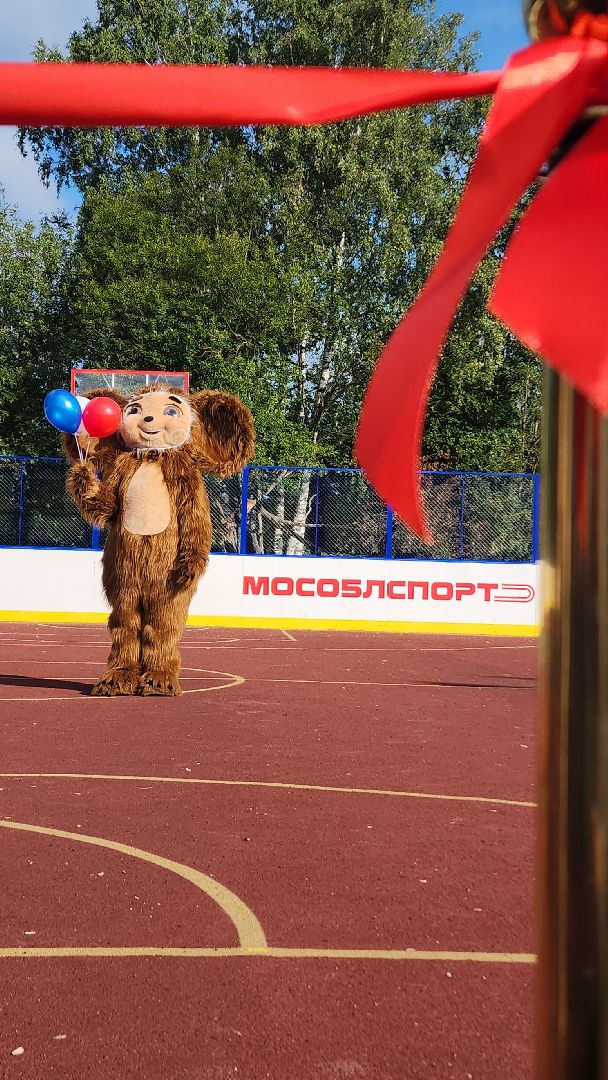 спорт, спортивное подмосковье, новая спортивная площадка, электросталь, спорт в подмосковье, спорт московской области,