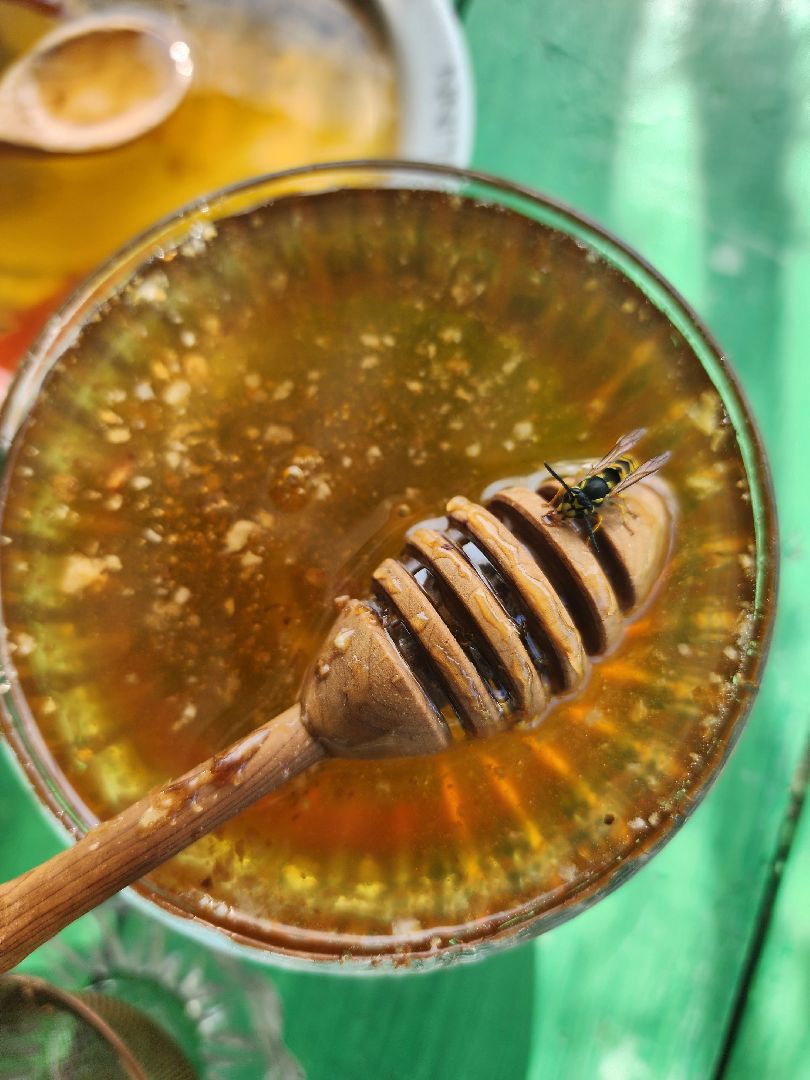 сельское хозяйство, Сельхозкультуры, селекция,