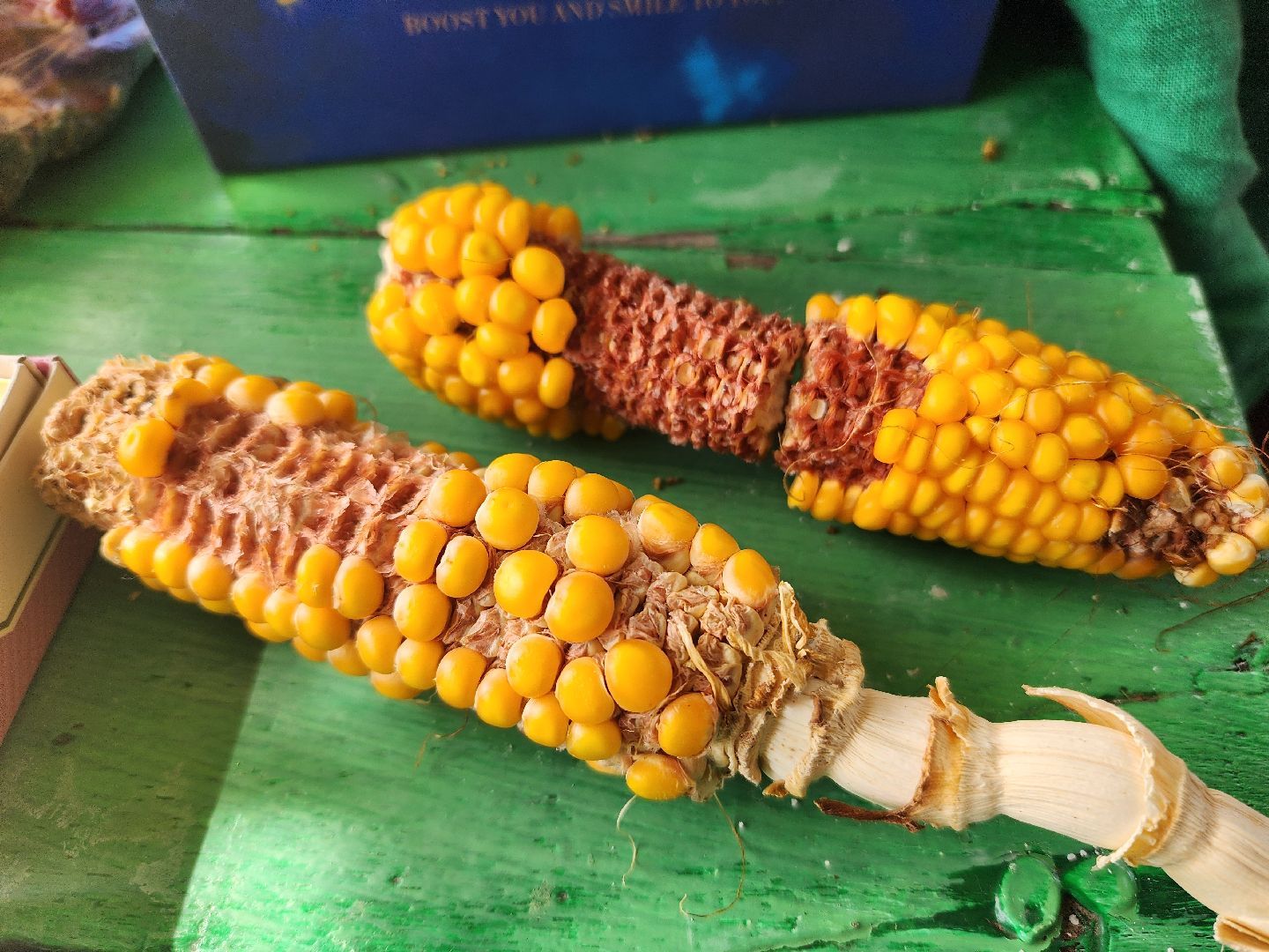 сельское хозяйство, Сельхозкультуры, селекция,