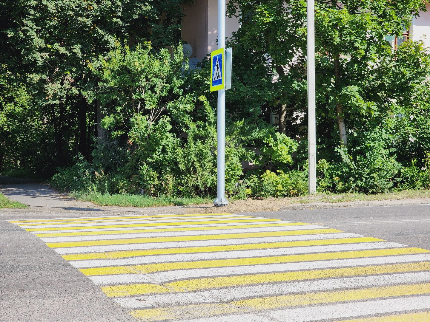 Егорьевск, Дороги, пешеходные переходы, Школа, Подмосковье, Московская область,