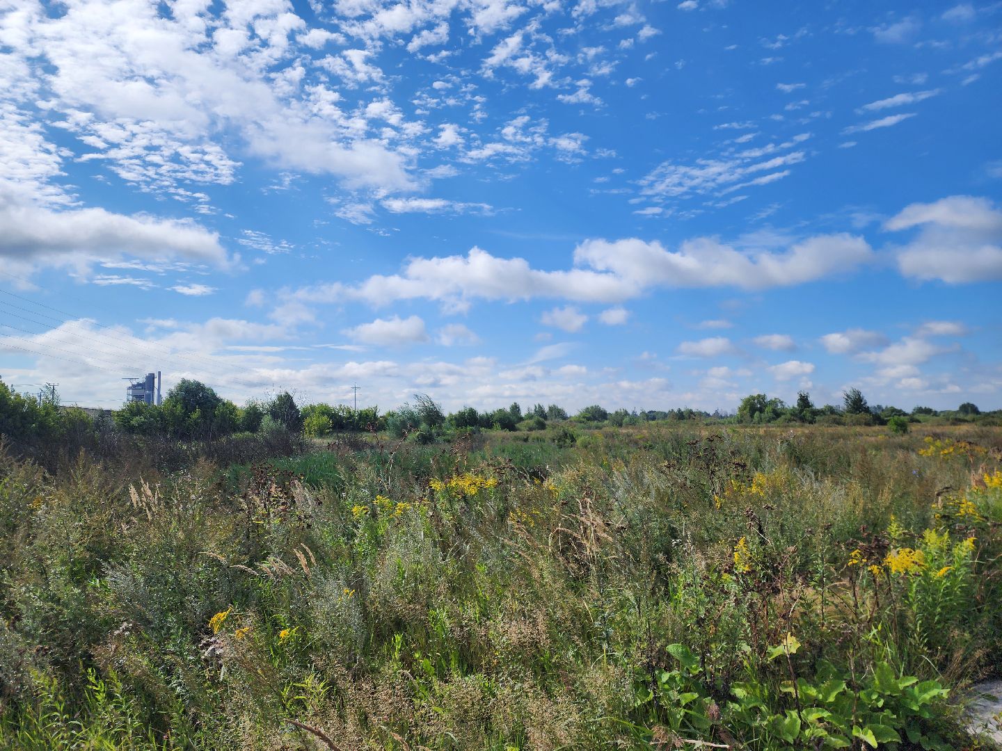 ногинск, старая купавна, земля за один рубль, жители, общество, экономика, строительство, строительство нового предприятия,