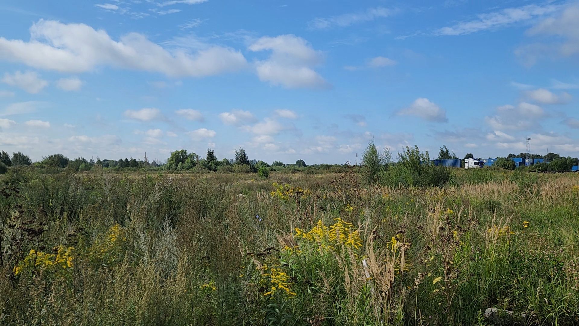 ногинск, старая купавна, земля за один рубль, жители, общество, экономика, строительство, строительство нового предприятия,