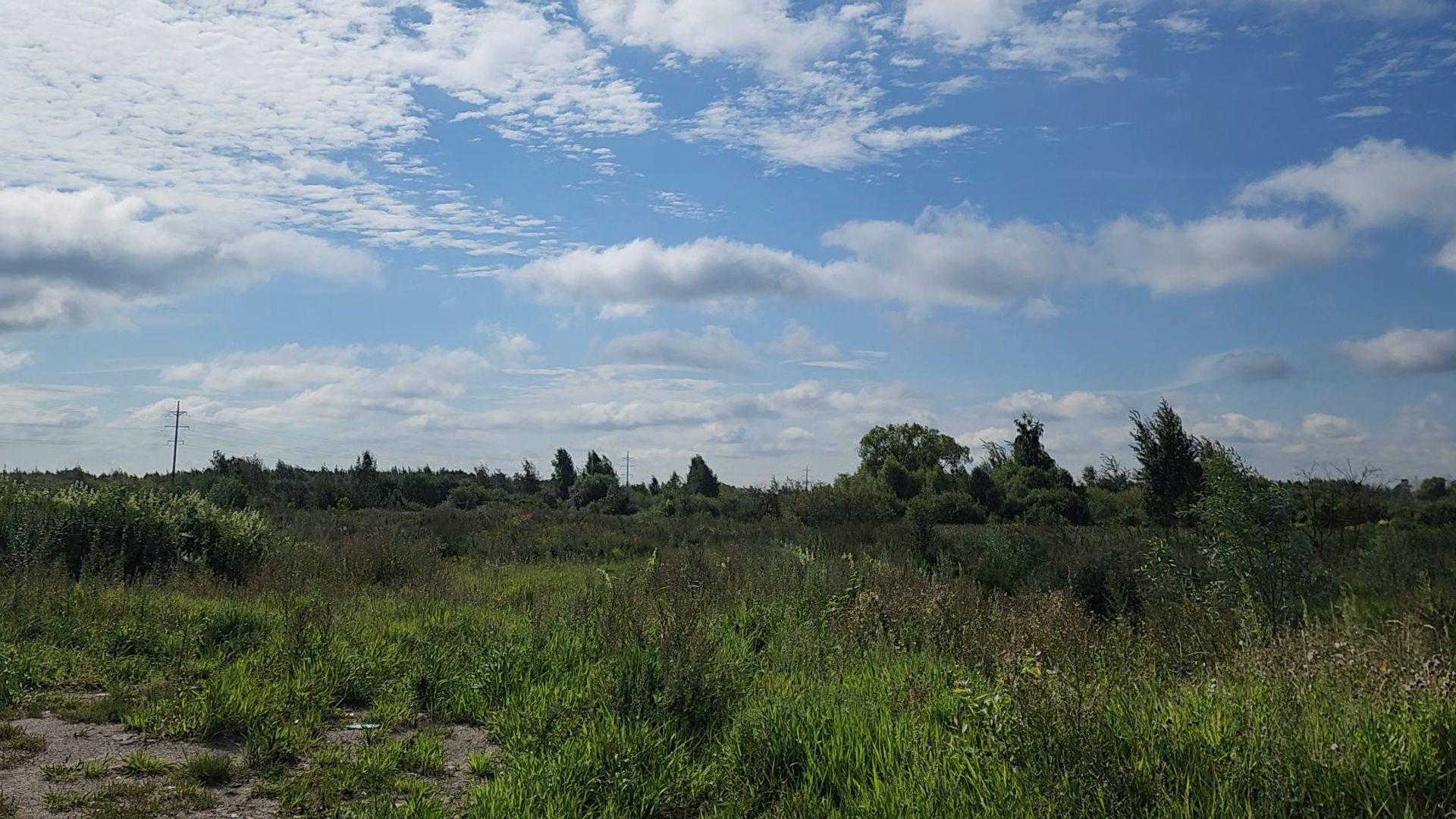 ногинск, старая купавна, земля за один рубль, жители, общество, экономика, строительство, строительство нового предприятия,