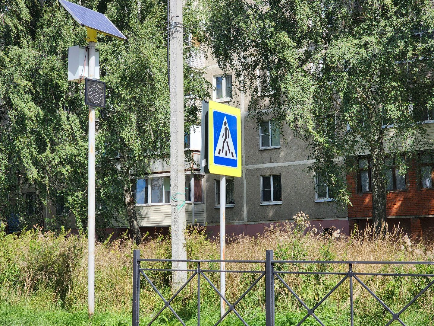 воскресенск, образование, безопасность, подготовка к 1 сентября,