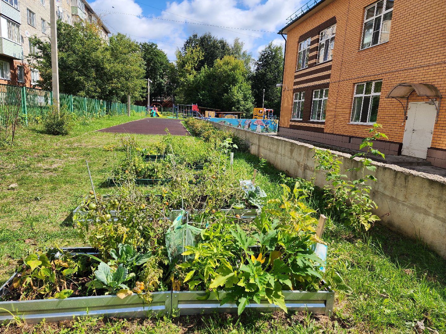 красноармейск, городской округ пушкинский, детские сады, приёмка,