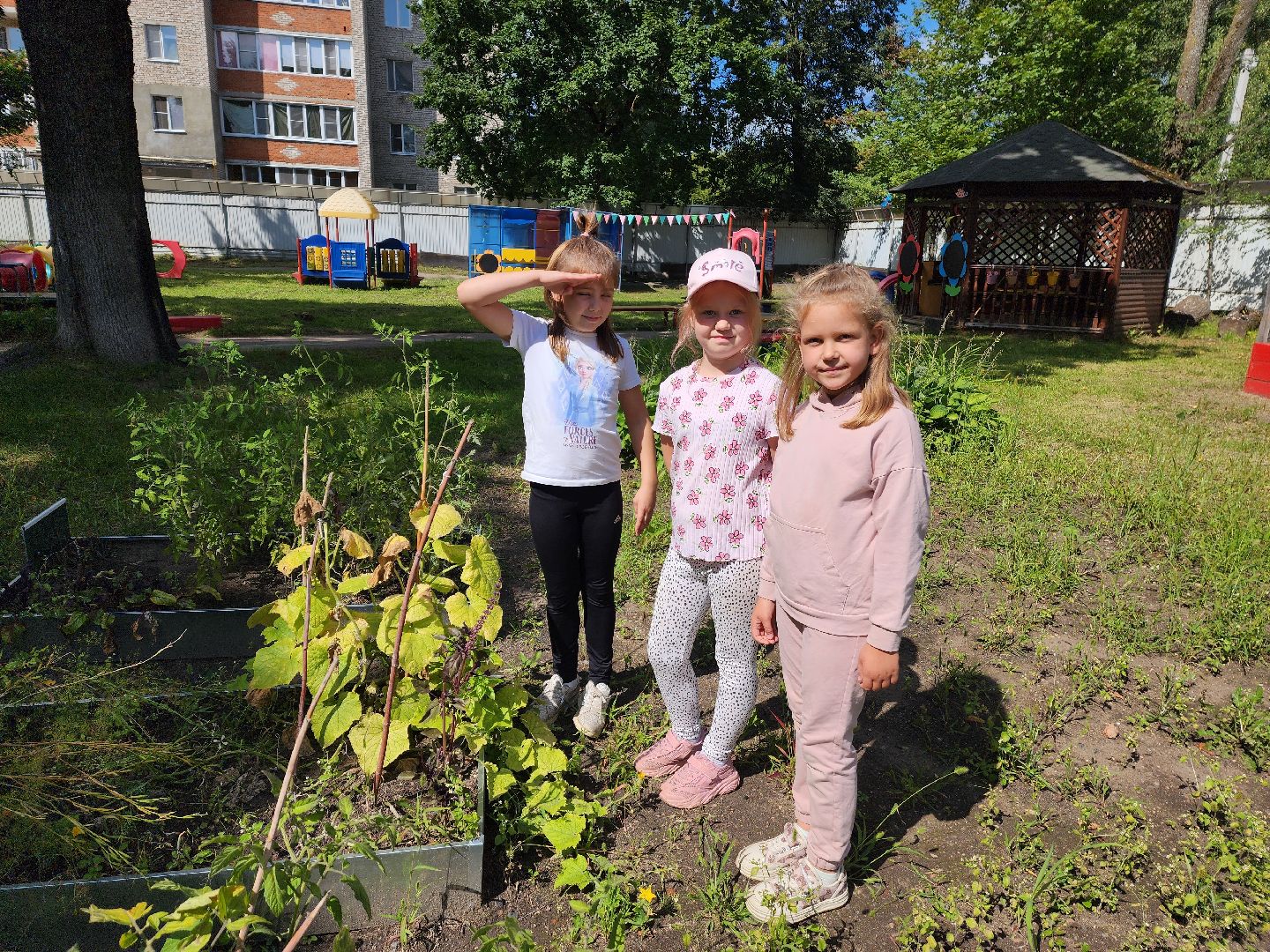 красноармейск, городской округ пушкинский, детские сады, приёмка,