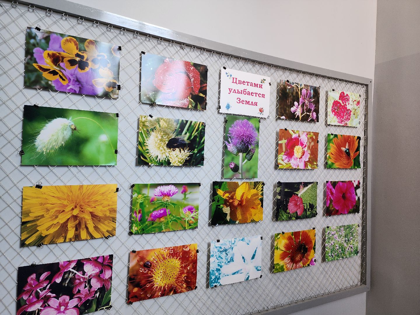 красноармейск, городской округ пушкинский, детские сады, приёмка,