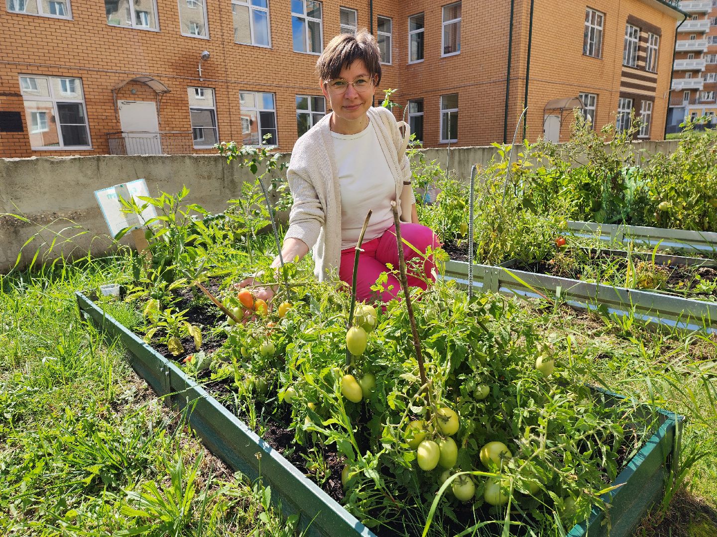 красноармейск, городской округ пушкинский, детские сады, приёмка,