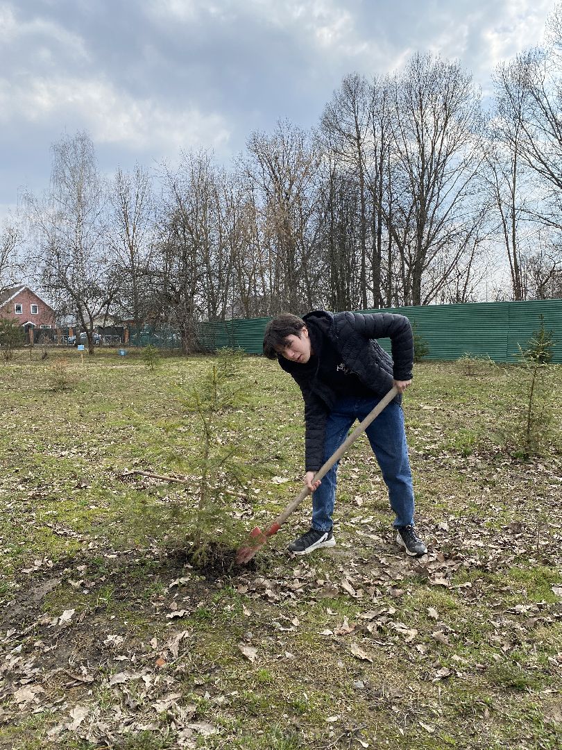 Чехов, школа, аллея, память, благоустройство, ученик