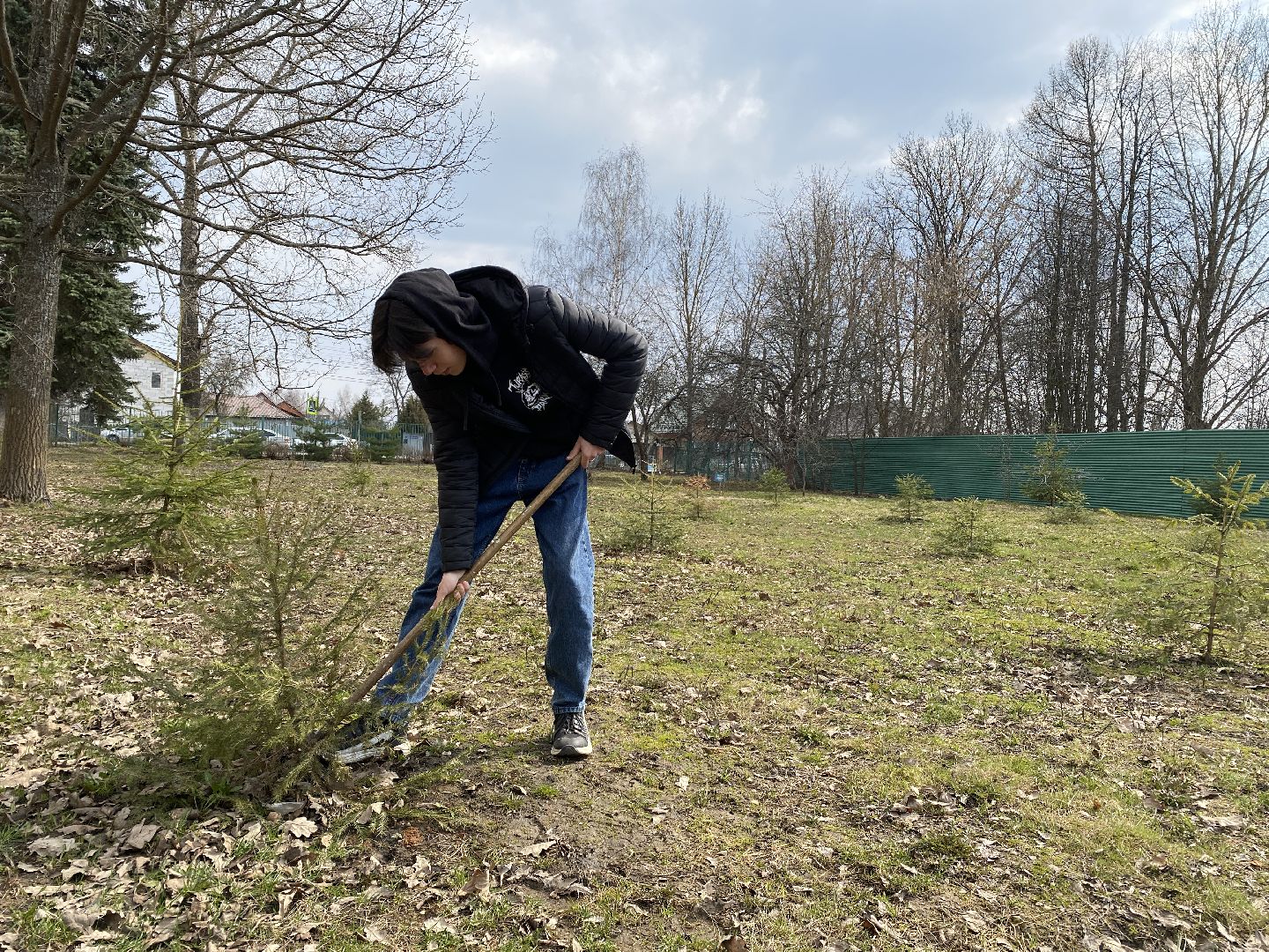 Чехов, школа, аллея, память, благоустройство, ученик