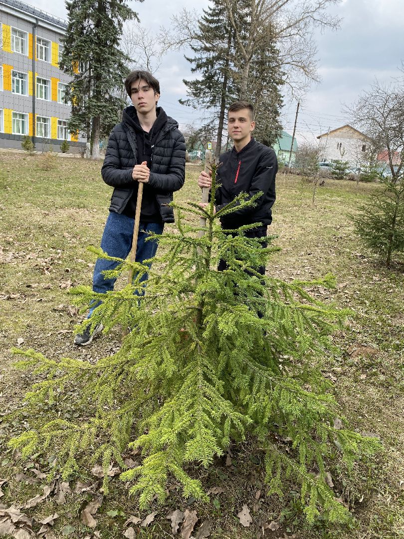 Чехов, школа, аллея, память, благоустройство, ученик