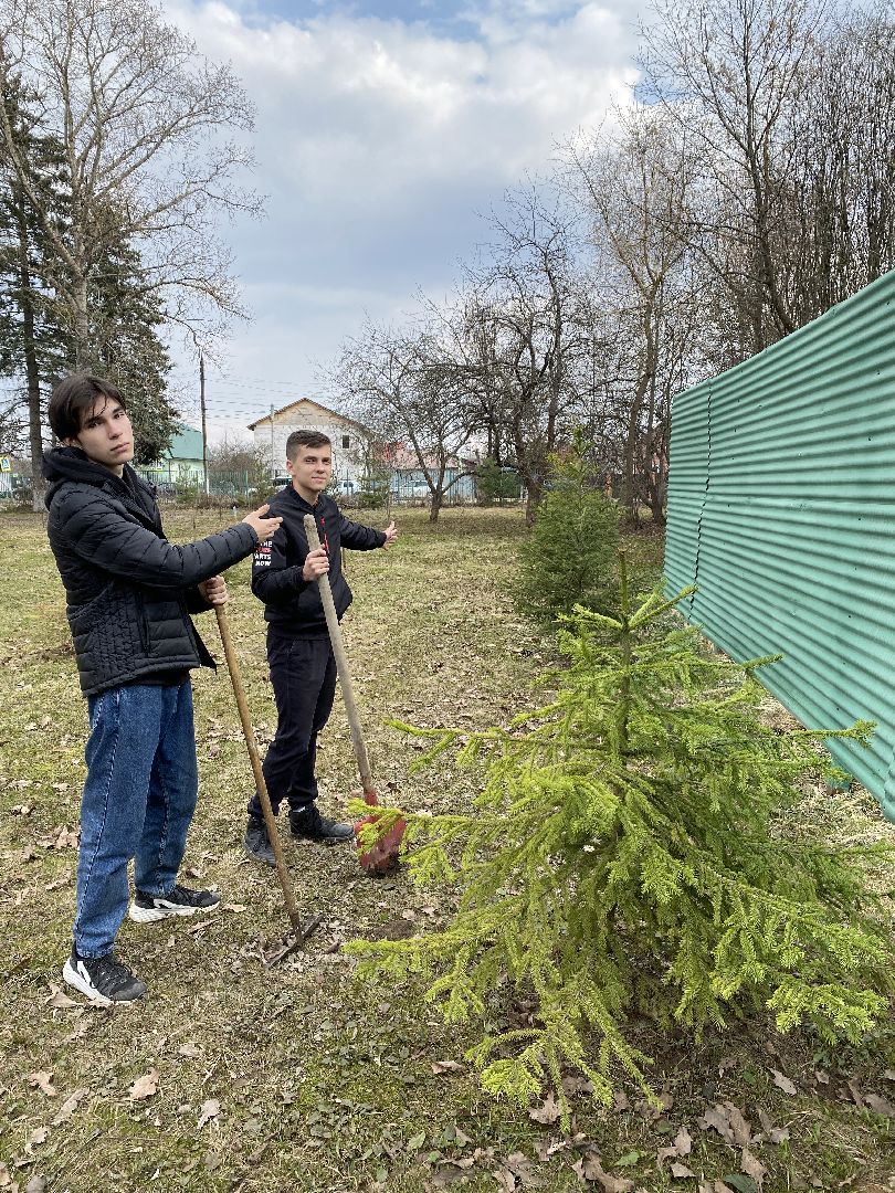 Чехов, школа, аллея, память, благоустройство, ученик