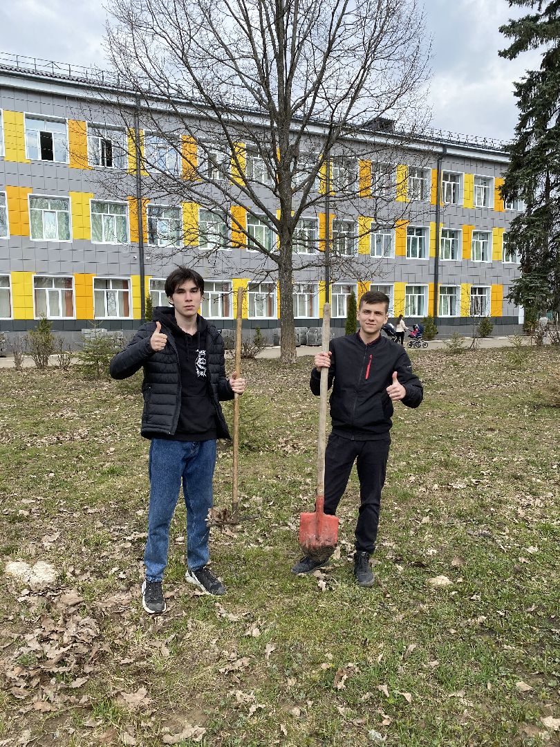 Чехов, школа, аллея, память, благоустройство, ученик