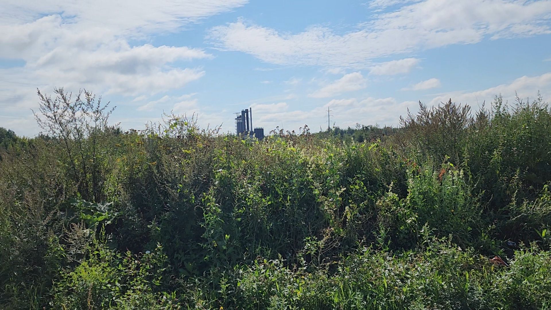 старая купавна, ногинск, общество, жители, строительство, экономика, богородский городской округ, строительство нового предприятия,