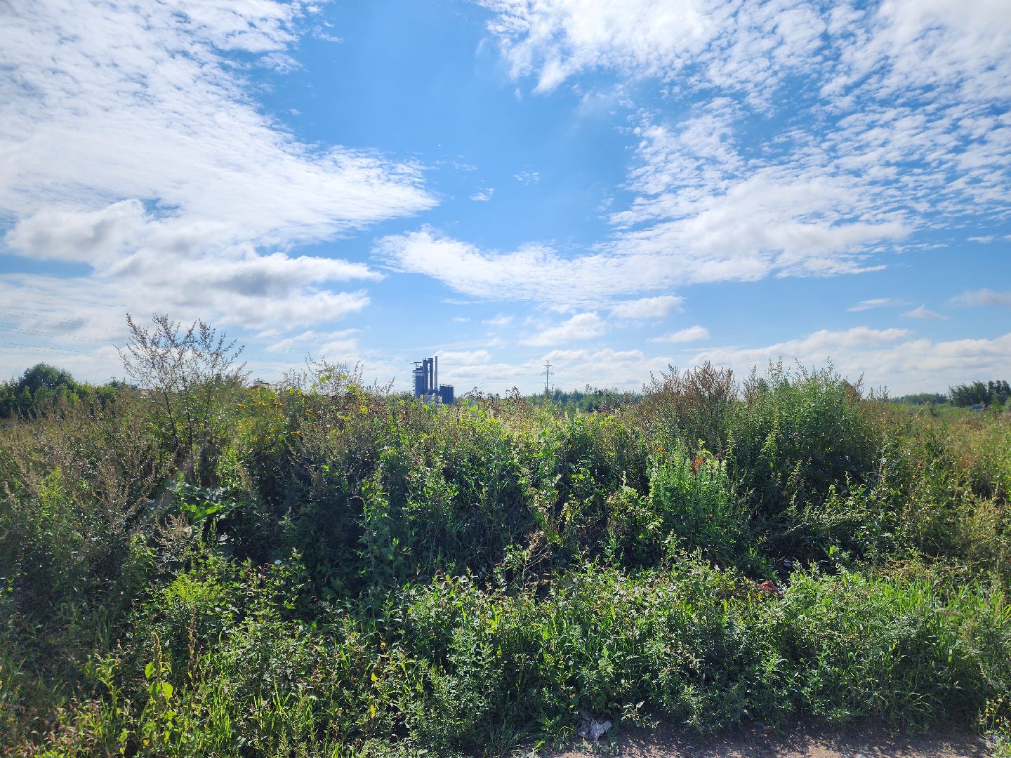 старая купавна, ногинск, общество, жители, строительство, экономика, богородский городской округ, строительство нового предприятия,