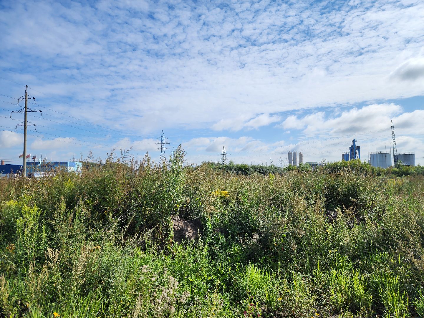 старая купавна, ногинск, общество, жители, строительство, экономика, богородский городской округ, строительство нового предприятия,