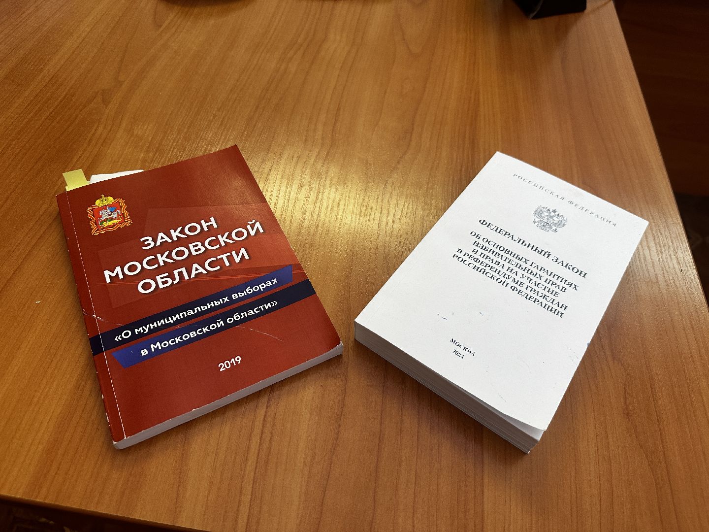 воскресенск, тик, выборы депутатов совета депутатов,